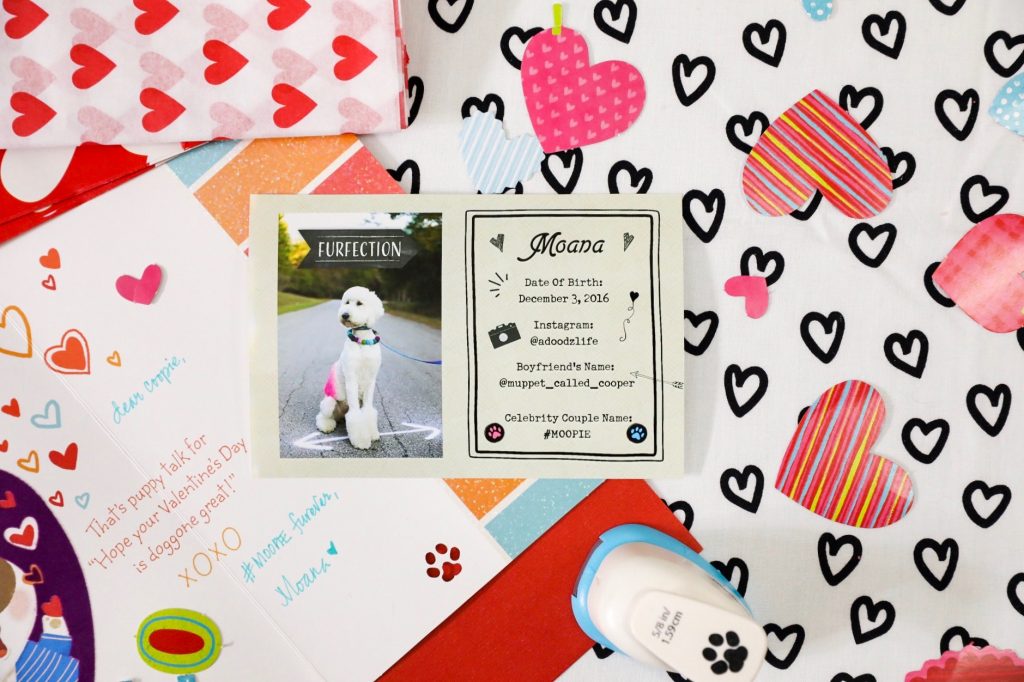 Valentine's Day For Dogs - Puppy Love - Ideas