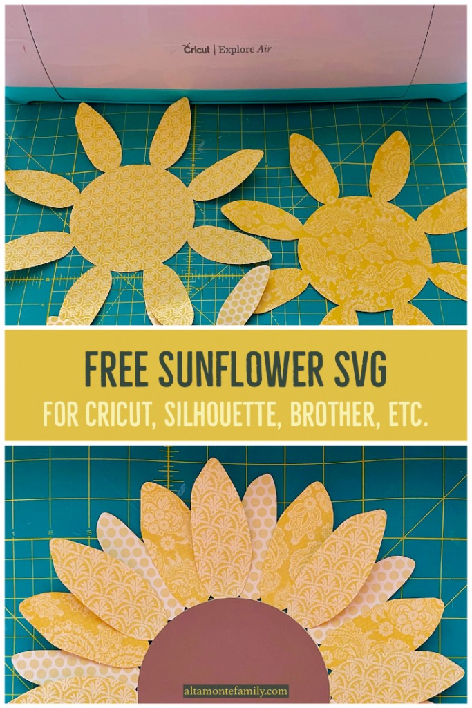 Pin on Sunflower SVG